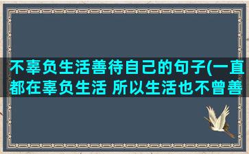 不辜负生活善待自己的句子(一直都在辜负生活 所以生活也不曾善待我)